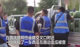 吃瓜追车综艺免费观看,免费解锁热门综艺，一起畅享欢乐时光