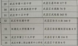 新季节玩法爆料视频下载,探索未知，畅享无限乐趣